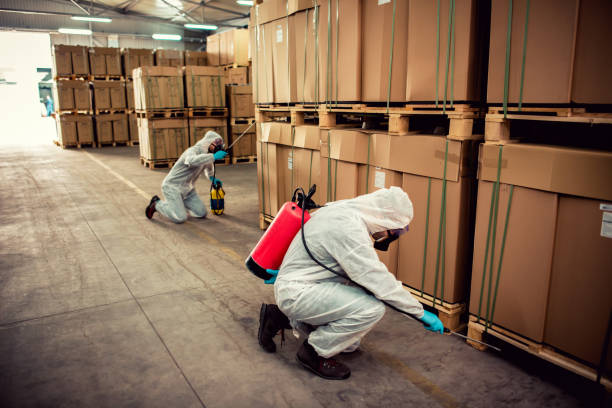  Leominster, MA Pest Control Pros