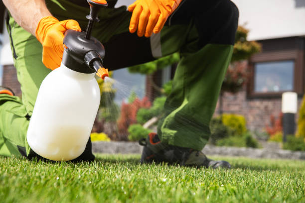 Best Ant Control Services  in Leominster, MA