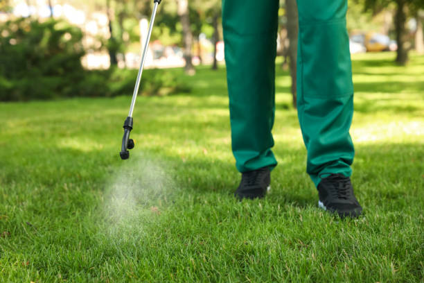 Best Pest Control Near Me  in Leominster, MA