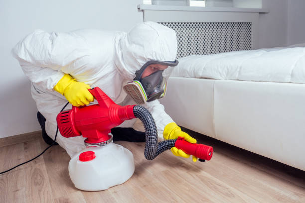 Best Rat Extermination Near Me  in Leominster, MA