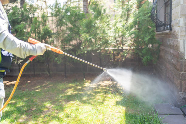 Best Pest Removal Services  in Leominster, MA