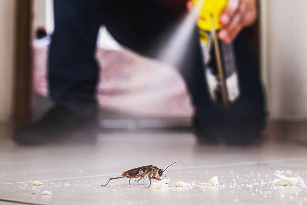 Best Pest Removal Services  in Leominster, MA