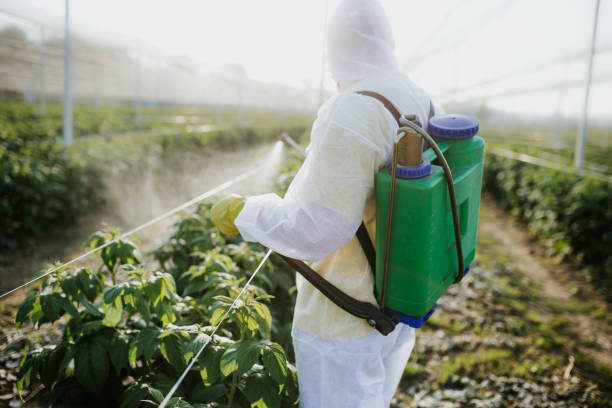 Best Pest Prevention Services  in Leominster, MA